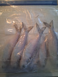 Fishing bait